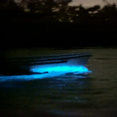 a person riding a wave on top of a body of water