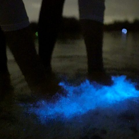 a person is standing in the dark