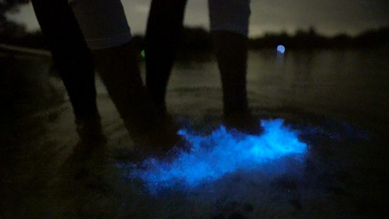 a person is standing in the dark