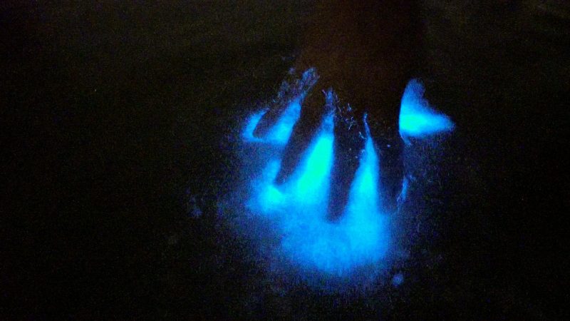 C0037.00_00_46_12.Still015