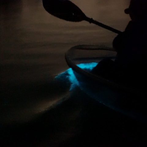 a person sitting in a dark room