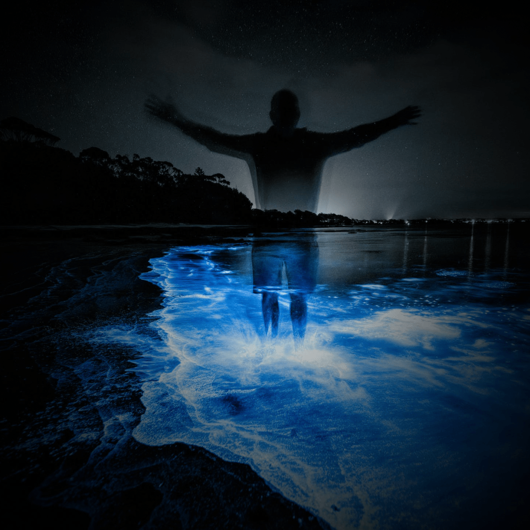 bioluminescence bioluminescence